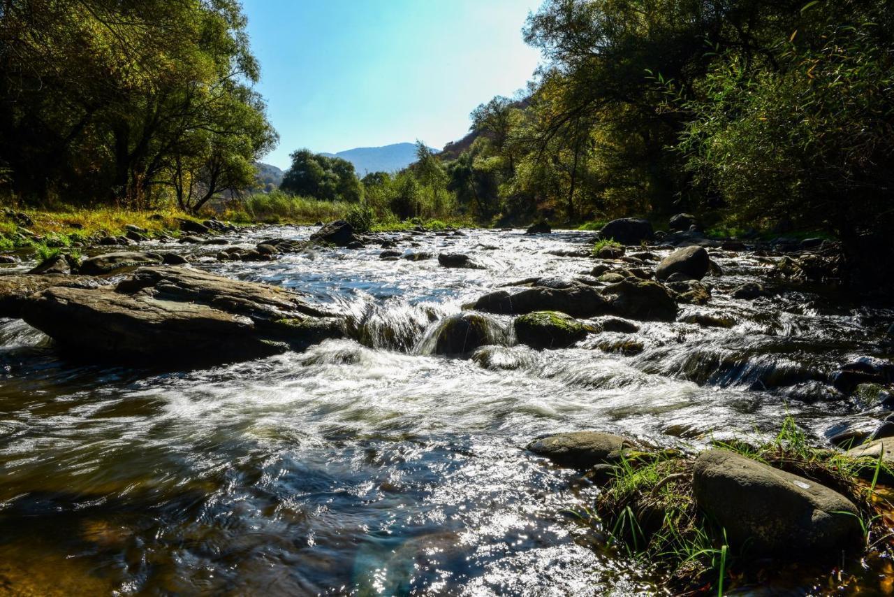 Belveder Eco Resort Dilidzjan Buitenkant foto